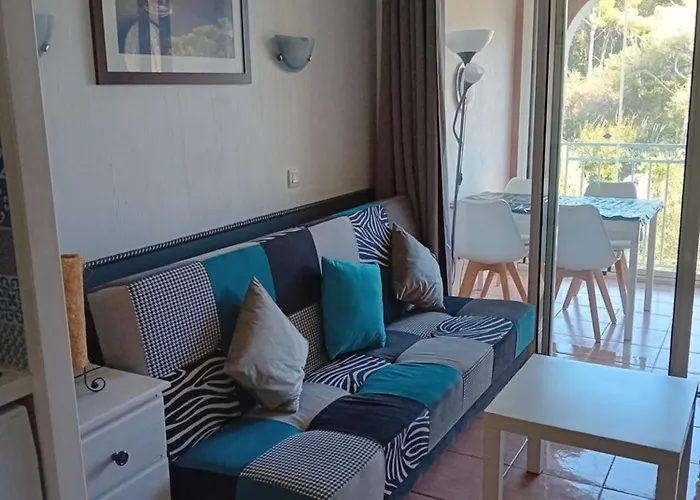 Appartement T2 Avec Piscine A 100 M De La Plage