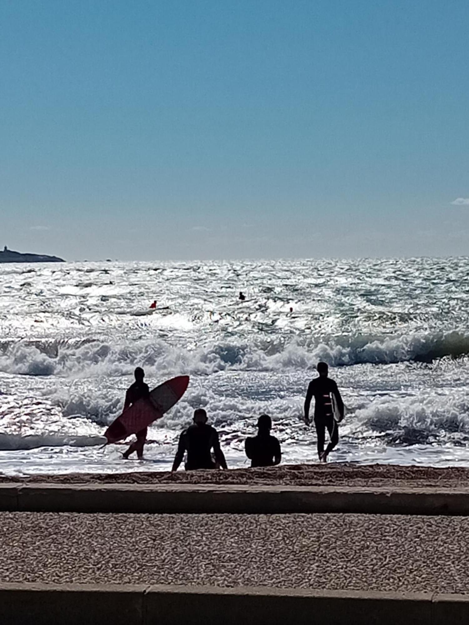 T2 Avec Piscine A 100 M De La * Six-Fours-les-Plages
